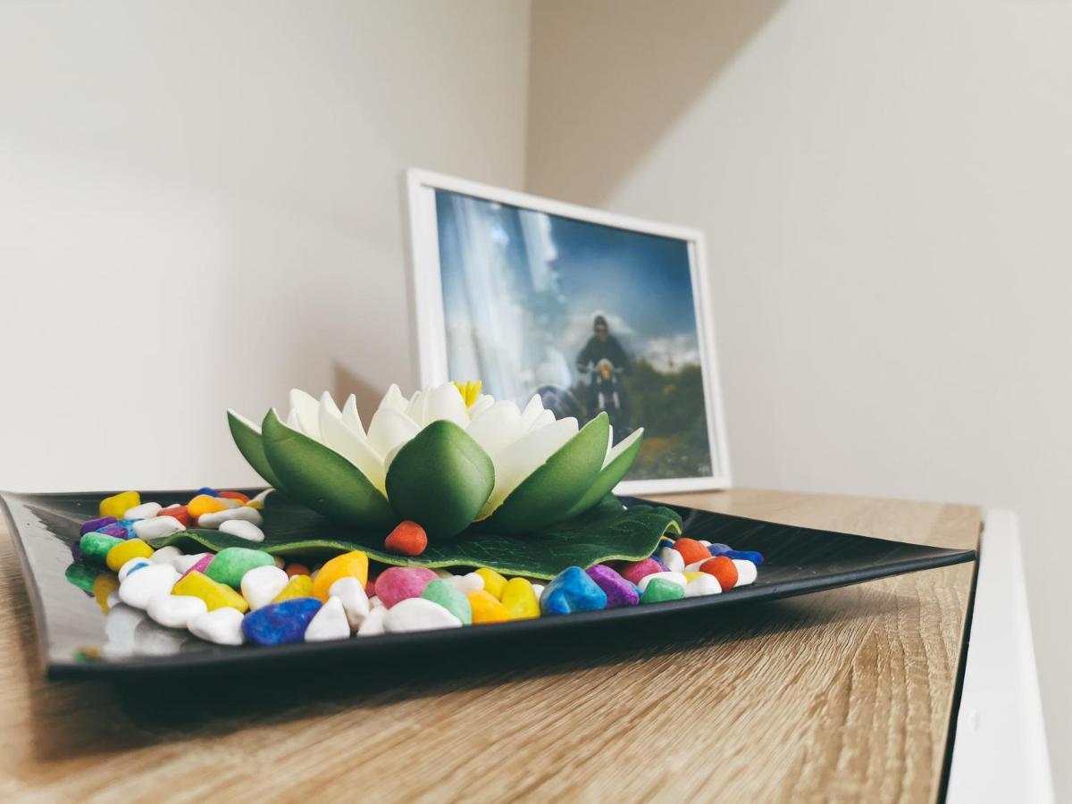 Cozy Corner Apartments - Free Parking & Wi-Fi Ćuprija Екстериор снимка